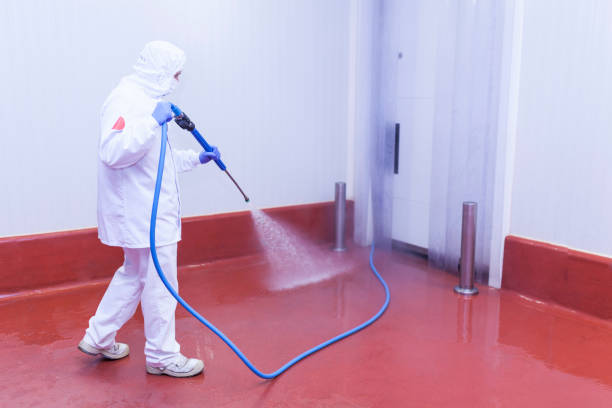 Best Boat and Dock Cleaning  in Garberville, CA